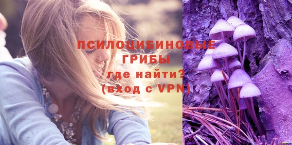 spice Алексеевка