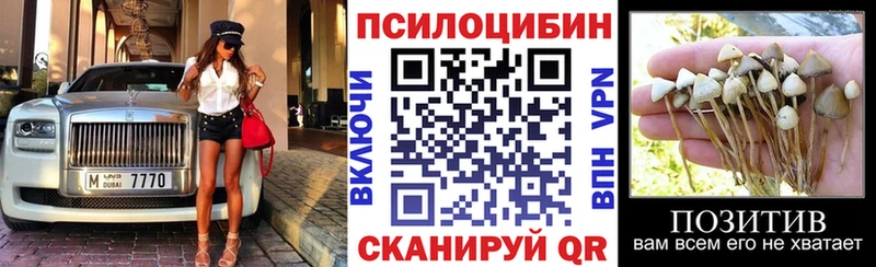 Псилоцибиновые грибы Psilocybine cubensis  где купить   Ревда 