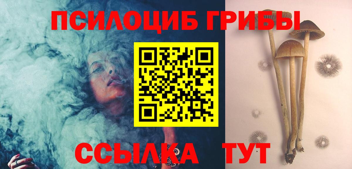 Псилоцибиновые грибы мицелий  Галлюциногенные грибы прущие грибы  Вход с VPN  Ревда 